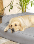Mano Ergonomic Dog Bed with Removable Cover – Blue, XXL
