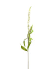 Elegant White Veronica Stem | Fresh Floral Accent