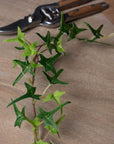 Lifelike artificial ivy garland with realistic green leaves, perfect for shelves or mantels, 170 cm long, fade-resistant plastic. by sostter at brixbailey.com
