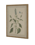 Botanical Wall Art in Linen with Beaded Frame