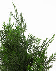 Cypress Cedar Topiary Tree Artificial 90cm Plant-1