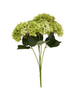 Hand-painted green hydrangea artificial floral arrangement with realistic shading and durable plastic stems. by sostter at brixbailey.com