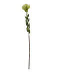 Green Pincushion Protea Faux Flower Stem