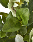 Green Hellebore in Taupe Ceramic Pot Indoor Plant