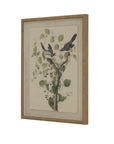 Shrike bird art print on linen with beaded brown frame, 50x40 cm, from Flora & Fauna Collectionby Sostter at brixbailey.com