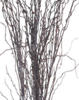 Fresh Branch Spray | Natural Air Freshener