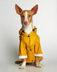 Eco-Friendly Sarah Raincoat - Recycled Ocean Plastic