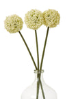 Cream Allium Stem Faux Flower Decor