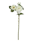 Pure White Rose Botanical Arrangement