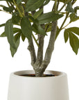 White Peony Bush in Pot with Lifelike Blooms