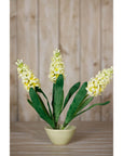 Bright Yellow Hyacinth Stems | Fresh Floral Elegance