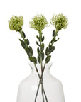 Green Pincushion Protea Faux Flower Stem