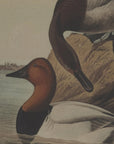 Charming Beaded Pochards Linen Art | Flora & Fauna Collection