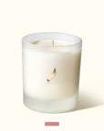 Eshgham luxury scented candle, premium soothing blend of benzoin rose maroc ylang ylang, best-selling emotional wellness relaxation aromatherapy by Novenary at brixbailey.com