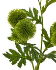 Vibrant Green Globe Thistle Spray | Fresh Floral Decor