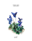 Violet - February Birth Flower - Watercolour Fine Art Print