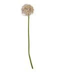 Lilac Allium Stem for Vases and Home Styling