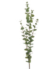 Lush Cineraria Eucalyptus Spray | Large Floral Decor