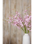 Elegant Lilac Cymbidium Spray | Fresh Floral Beauty