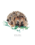 Hedgehog Watercolour Art Print