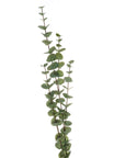 Lush Cineraria Eucalyptus Spray | Large Floral Decor
