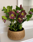 Faux Plum Hellebore in Taupe Ceramic Pot