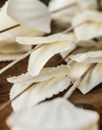 Dried Thlaspi Arvense bouquet with delicate white seed pods, perfect for modern or traditional décor, 120cm tall.by Sostter at brixbailey.com