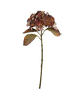 Realistic autumn hydrangea stems in rich brown and amber, 50cm tall with lifelike petals for fall decor by Sostter at brixbailey.com