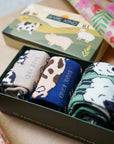 Farm Animals Bamboo Socks Gift Box of 3