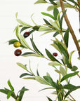 Artificial Olive Tree 82"