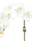 Faux Orchid Plant in Square Vase - 20"