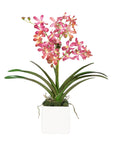 Pink Vanda Orchid Arrangement in Vase - 24"