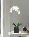 Artificial Orchid Plant in Vase - 20"
