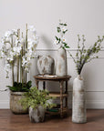 5ft white artificial orchid in distressed stone pot with lifelike blooms and green leaves by sostter at brixbailey.com