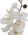 Large White Butterfly Orchid Stem Artificial Flower