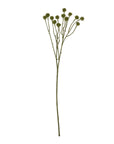 Handcrafted green craspedia artificial stems with spherical blooms, sage green color, 60cm height for floral arrangements. by sostter at brixbailey.com