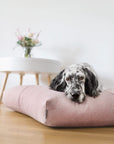Rose Finno Dog Cushion for Lounging in Style