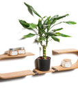 Floating Wooden Wall Shelf - Luno