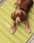 Plush Green Travel Mat for Dogs