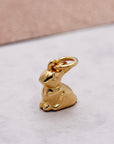 Bunny Rabbit Silver Charm