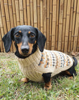 "Golden Dreams" Handmade Alpaca Wool Dog Jumper