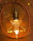 Gryffindor Plug in Pendant Cable Set