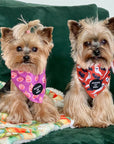 Orange Bats + Ghosts Halloween Dog Bandana 👻