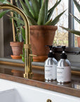 Luxury citrus hand wash with orange peel, grapefruit, lemon, green tea, vitamin E, and aloe vera, natural antiseptic, moisturizing, eco-friendly by Dot & Lola at brixbailey.com