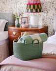 Handy Handwoven Rattan Basket - Green