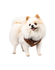 Cocoa Bean | Carnaby Harness