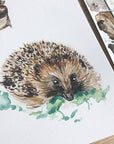 Hedgehog greetings card
