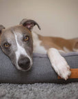 THE BALMORAL | LUXURY HERRINGBONE BOLSTER DOG BED