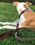 THE LINCOLN | LUXURY TWEED & LEATHER DOG LEAD