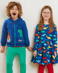 organic cotton dinosaur hoodie with T-Rex and volcano applique - cozy striped lining - GOTS certified - sustainable kids clothing by Toby Tiger at www.brixbailey.com